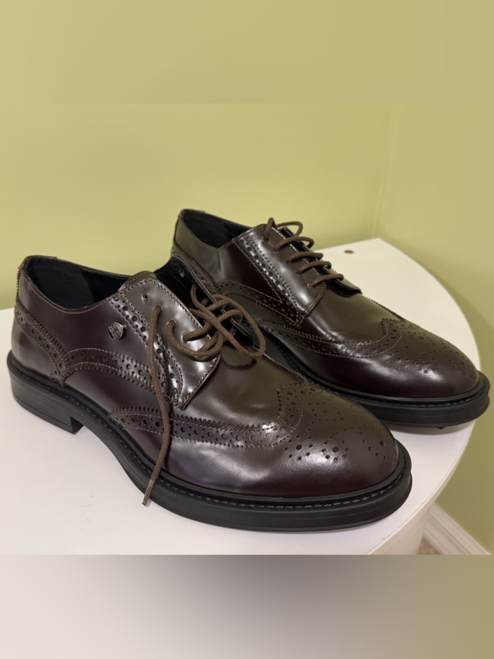 Cavalli Class Men's Dark Brown Crip Wingtip Derby size 9 men H20N4